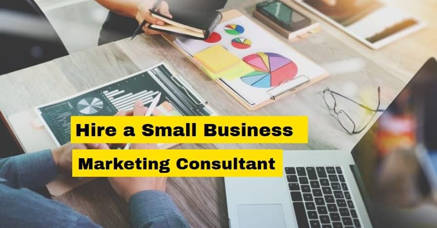 hire a small business marketing consultant